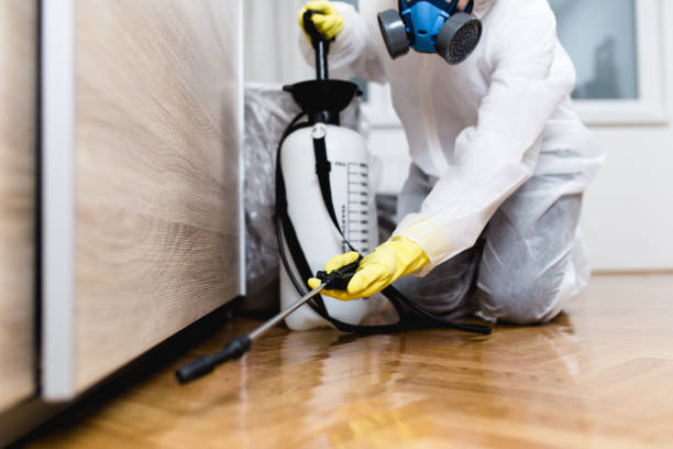 Best Pest Removal Services  in Papillion, NE