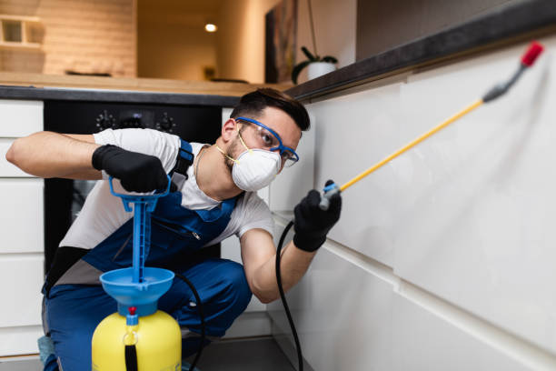 Best Flea Control Services  in Papillion, NE