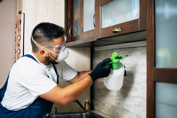 Best Local Pest Control Services  in Papillion, NE
