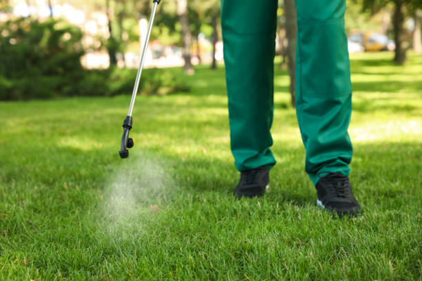 Best Commercial Pest Control Services  in Papillion, NE