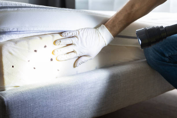 Best Wildlife Control Services  in Papillion, NE