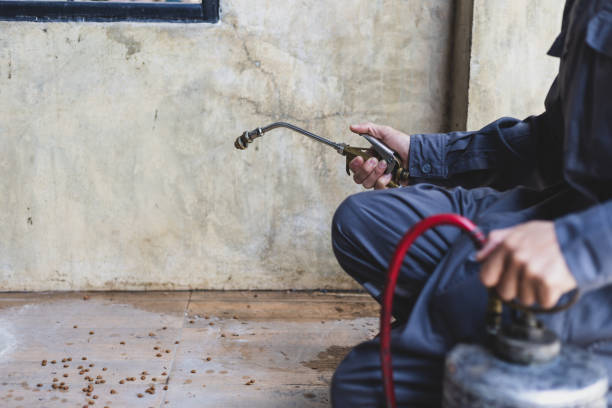 Best Termite Control Services  in Papillion, NE